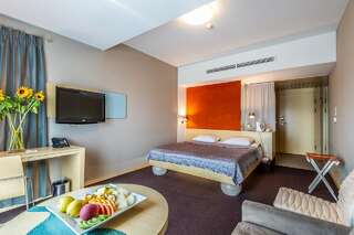 Отель Niebieski Art Hotel & Spa Краков Двухместный номер с 1 кроватью-3